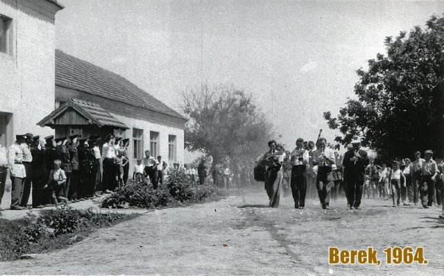 DVD Berek